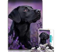 Puzzles pour Adolescents 1000 pièces Lavande et Labrador Puzzles pour Adolescents, idéal comme Cadeau pour Toute la Famille Convient aux Enfants de 14 Ans et Plus (Taille 38x26cm)