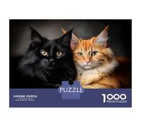 Puzzles pour Adolescents 1000 Pièces Maine Coon Black and Orange Cats Puzzles pour Adolescents, Jouet, Décoration Murale, Jeu De Course De Vitesse, Cadeau Stimulant 70x50cm/1000pcs