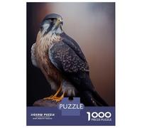 Puzzles pour Adolescents 1000 Pièces Merlin Falcon Oil Paint Puzzle Jeux Relaxants Défi Difficile Activités Amusantes À La Maison 70x50cm/1000pcs