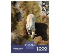 Puzzles pour Adolescents 1000 Pièces Polar Bear in Grass Puzzles pour Adultes Jeu De Réflexion Décoration Intérieure Interaction Parent-Enfant 70x50cm/1000pcs