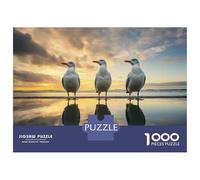 Puzzles pour Adolescents 1000 Pièces Seagulls on The Beach at Sunset Puzzles pour Adolescents - Améliorez Votre Mémoire pour Un Anniversaire Ou Noël - Jeu Au Design Magnifique 70x50cm/1000pcs
