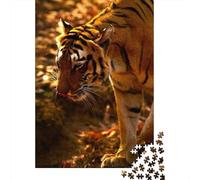 Puzzles pour Adolescents 1000 Pièces Tiger Wildlife Photography-2 Puzzles pour Adultes Puzzle pour S'amuser en Famille Stimule Le Cerveau pour Les Jeux 52x38cm/1000pcs