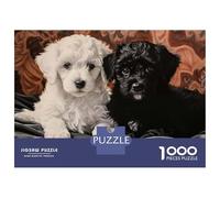 Puzzles pour Adolescents 1000 Pièces Two Poodle Puppies Portrait Puzzle pour Adultes Jeux Relaxants Décoration Intérieure Cadeaux Uniques pour Anniversaire Et Noël 70x50cm/1000pcs