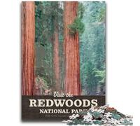 Puzzles pour Adolescents 1000 pièces Visitez Redwood Jeu éducatif Défi Jouet Décoration Murale Cadeaux d'anniversaire et de Noël Uniques (Taille 50x75cm)