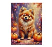 Puzzles pour Adolescents 1000pcs(52x38cm) Autumn Pomeranian with Pumpkins Puzzles pour Adultes Jeux De Famille Difficulté Difficile Cadeaux d'anniversaire Et Cadeaux Uniques 1000pcs(52x38cm)
