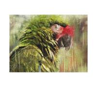 Puzzles pour Adolescents 1000pcs(52x38cm) Fear No Parrot Puzzles pour Adolescents, Jouets Anti-Stress, Une Œuvre d'art, Activités Amusantes À La Maison, 1000pcs(52x38cm)
