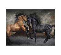 Puzzles pour Adolescents 1000pcs(52x38cm) Horse Desktop Wallpaper HD-1 Puzzles pour Adolescents, Jouets Anti-Stress, Une Œuvre d'art, Activités Amusantes À La Maison, 1000pcs(52x38cm)
