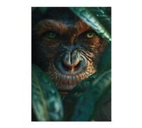 Puzzles pour Adolescents 38x26cm/1000pcs Chimpanzee Close-up Puzzle pour Adultes, Jeu Familial, Décoration Et d'anniversaire 38x26cm/1000pcs