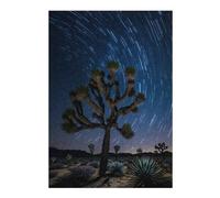 Puzzles pour Adolescents 38x26cm/1000pcs Joshua Tree Starry Night Puzzle, Jouet, Décoration Murale, Difficile, Cadeau De Noël Ou d'anniversaire 38x26cm/1000pcs
