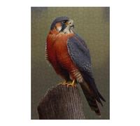 Puzzles pour Adolescents 38x26cm/1000pcs Rednecked Falcon Oil Paint Puzzles pour Adolescents - Jeu Manuel - Décoration Intérieure pour Les Amateurs De Jeux Vidéo 38x26cm/1000pcs