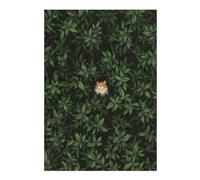 Puzzles pour Adolescents 38x26cm/1000pcs Where is Ginger Puzzles pour Adultes Jouets Anti-Stress Une Œuvre d'art Stimule Le Cerveau 38x26cm/1000pcs