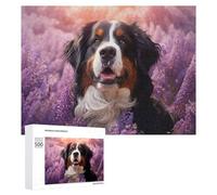 Puzzles pour Adolescents 500 PCS Bernese Mountain Dog in Lavenders Puzzles pour Adolescents, Jouets À Faire Soi-même, Activités Amusantes À La Maison pour Passer Le Temps, 500 PCS