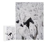 Puzzles pour Adolescents 500 PCS Black Horse Among White Ones-1 Puzzles pour Adultes Assemblage De Modèles De Puzzles Défi À Réaliser Soirée Jeux Et Divertissement en Famille 500 PCS