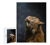 Puzzles pour Adolescents 500 PCS Curious Ginger Cat Puzzle pour Adultes Jeux Relaxants Décoration Murale pour Les Joueurs 500 PCS