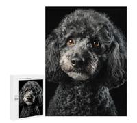 Puzzles pour Adolescents 500 PCS Fluffy Grey Poodle Portrait Puzzles pour Adultes Activités Familiales Interaction Parent-Enfant Jeu Au Design Élégant 500 PCS