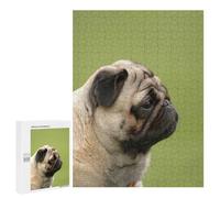 Puzzles pour Adolescents 500 PCS Pug Dog Casse-tête pour Adultes, Jeu De Réflexion Difficile, Original, Cadeau d'anniversaire 500 PCS