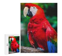 Puzzles pour Adolescents 500 PCS Red Yellow and Blue Parrot Casse-têtes pour Adultes Jeu De Réflexion Assemblage De Motifs Interaction Parent-Enfant 500 PCS
