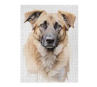 Puzzles pour Adolescents 52x38cm/1000pcs Anatolian Shepherd Dog Puzzles pour Adultes, Jouets Anti-Stress, Décoration Intérieure, Idéal comme Cadeau 52x38cm/1000pcs