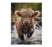 Puzzles pour Adolescents 52x38cm/1000pcs Cute Baby Highland Cow Puzzle pour Adultes, Jeu De Réflexion, Une Œuvre d'art, Cadeaux Uniques pour Un Anniversaire Ou Noël 52x38cm/1000pcs