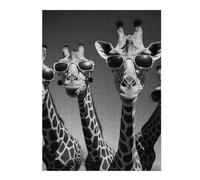 Puzzles pour Adolescents 52x38cm/1000pcs Giraffe Rap Band Puzzles pour Adultes, Jouets À Monter Soi-même, Décoration Murale, Cadeaux d'anniversaire Et De Noël Uniques 52x38cm/1000pcs