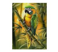 Puzzles pour Adolescents 52x38cm/1000pcs Green and Yellow Parrot on Bamboo Puzzles pour Adultes, Décoration Murale Amusante Et Humoristique, pour Stimuler Le Cerveau 52x38cm/1000pcs