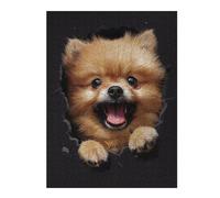 Puzzles pour Adolescents 52x38cm/1000pcs Pomeranian Casse-têtes pour Adultes, Jeu De Réflexion, Améliore La Mémoire, Cadeaux pour Les Amis Et La Famille 52x38cm/1000pcs