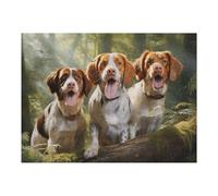 Puzzles pour Adolescents 52x38cm/1000pcs Puzzles pour Adultes Three Brittany Spaniel Jeux De Bricolage Découpe De Précision Cadeaux Anti-Stress 52x38cm/1000pcs