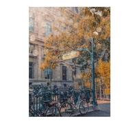 Puzzles pour Adolescents 52x38cm/1000pcs Puzzles Sunlight in Paris Puzzle pour Adultes Jeu De Réflexion Cadeau d'anniversaire Cadeaux Anti-Stress 52x38cm/1000pcs