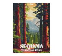 Puzzles pour Adolescents 52x38cm/1000pcs Sequoia Sunset Trail Puzzles Jeux Relaxants Assemblage De Motifs Difficile Et Stimulant 52x38cm/1000pcs