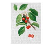 Puzzles pour Adolescents 52x38cm/1000pcs Sour Cherry Puzzles pour Adultes, Décoration Murale Amusante Et Humoristique, pour Stimuler Le Cerveau 52x38cm/1000pcs