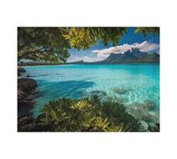 Puzzles pour Adolescents 52x38cm/1000pcs Tropical Haven Puzzles pour Adultes, Décoration Murale, mais Aussi Activités Amusantes Et Humoristiques À Faire À La Maison 52x38cm/1000pcs