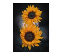 Puzzles pour Adolescents 52x38cm/1000pcsTwo Sunflowers Puzzle pour Adultes, Jeu De Réflexion, Une Œuvre d'art, Cadeaux Uniques pour Un Anniversaire Ou Noël 52x38cm/1000pcs