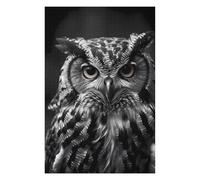 Puzzles pour Adolescents 75x50cm/1000pcs Owl Bird Puzzles pour Adultes Jeux Relaxants Décoration Murale Jeu Stimulant Cadeaux 75x50cm/1000pcs