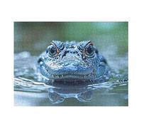 Puzzles pour Adolescents Alligator in Water Close-Up Puzzles pour Adultes : des Jouets À Monter Soi-même, Amusants Et Originaux, Parfaits pour Un Anniversaire Ou Noël