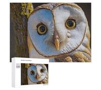 Puzzles pour Adolescents Barn Owl Close-Up Puzzles pour Adultes - Jeu Manuel - Niveau De Difficulté Élevé - Idée Cadeau Originale pour Un Anniversaire 500 PCS