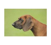 Puzzles pour Adolescents Bavarian Mountain Hound Puzzles pour Adultes : des Jouets À Monter Soi-même, Amusants Et Originaux, Parfaits pour Un Anniversaire Ou Noël