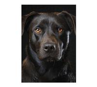 Puzzles pour Adolescents Cool Animal Portrait Puzzles pour Adultes, Jeu De Réflexion, Décoration Intérieure, pour Toute La Famille 38x26cm/1000pcs