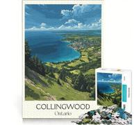 Puzzles pour Adolescents de 1000 pièces, Affiches de Voyage de l'Ontario, Jeu Pratique, Difficile et Stimulant, Cadeau de Jeu Stimulant 50x75cm