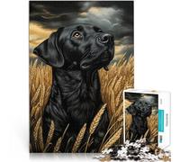 Puzzles pour Adolescents de 1000 pièces Labrador Noir dans Un Champ de blé Jeu de Quiz Offrir en Cadeau à Toute la Famille 52x38cm