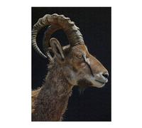 Puzzles pour Adolescents Ibex Puzzles pour Adultes - Cadeaux d'anniversaire - Jeu Familial - Convient Aux Personnes De 14 Ans Et Plus