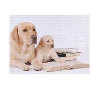 Puzzles pour Adolescents Labrador Retriever Dogs Puzzle pour Adultes - Jeu Manuel - Découpe De Précision - Idéal pour Un Anniversaire Ou Noël 1000pcs(52x38cm)