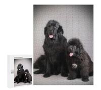 Puzzles pour Adolescents Newfoundland Dogs Puzzle pour Adultes, Décoration Murale, Œuvre d'art, Cadeau d'anniversaire, Cadeaux, 500 PCS