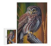 Puzzles pour Adolescents Northern Pygmy Owl Puzzle Adulte - Décoration Murale - Découpe De Précision pour Les Gamers 500 PCS