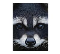 Puzzles pour Adolescents Raccoon Face Close-Up Puzzle pour Adultes - Jeu Manuel - Découpe De Précision - Idéal pour Un Anniversaire Ou Noël 1000pcs(52x38cm)