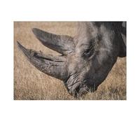 Puzzles pour Adolescents Rhino Wildlife Africa Casse-têtes pour Adultes, Jeux De Réflexion, Cadeaux Anti-Stress pour Les Amis Et La Famille 38x26cm/1000pcs