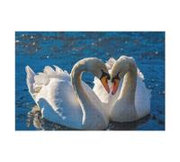 Puzzles pour Adolescents Swans in Love on Water Puzzle pour Adultes - Jeu Manuel - Découpe De Précision - Idéal pour Un Anniversaire Ou Noël 1000pcs(75x50cm)