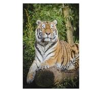 Puzzles pour Adolescents Tiger Lying on Brown Tree Puzzles pour Adultes, Jeu Familial, Course De Vitesse Manuelle, Cadeaux d'anniversaire Uniques 75x50cm/1000pcs