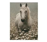 Puzzles pour Adolescents White Horse in Daisy Field Puzzle pour Adultes, Jeu Manuel, Course De Vitesse, Cadeau d'anniversaire, Cadeaux, 1000pcs(52x38cm)