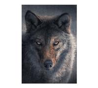 Puzzles pour Adolescents Wolf's Gaze Wild Eyes -1 Puzzles pour Adultes, Jouets Anti-Stress, Décoration Murale, Cadeaux De Noël Et d'anniversaire 38x26cm/1000pcs