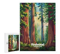 Puzzles pour Adolescents500 PCS Redwood National Park Illustration Puzzles pour Adultes Jeux Relaxants Décoration Murale Cadeaux d'anniversaire Uniques 500 PCS